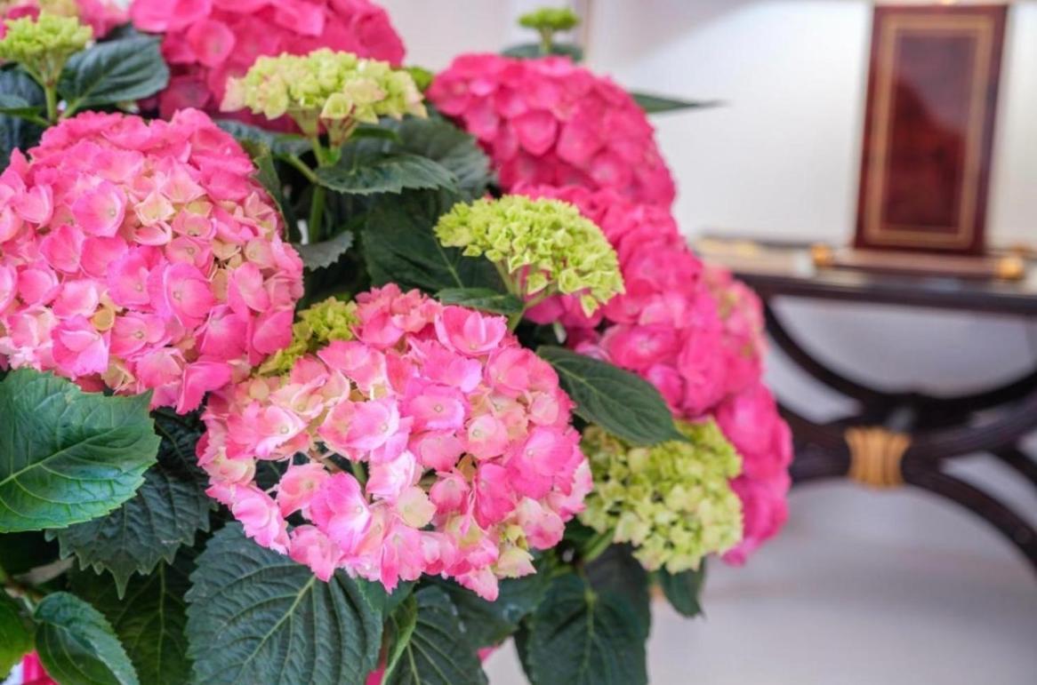 Casa Luce Bed & Breakfast Milazzo Dış mekan fotoğraf